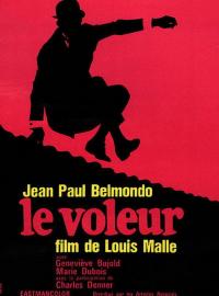 Le Voleur