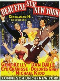 Jaquette du film Beau Fixe sur New York