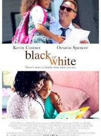 Jaquette du film Black or White