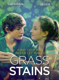 Jaquette du film Grass Stains