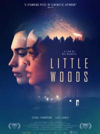 Little Woods