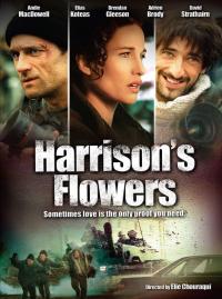 Harrison's Flowers