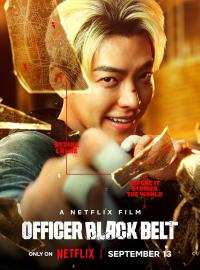 Jaquette du film Profession ceinture noire