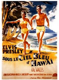 Sous le ciel bleu de Hawaii