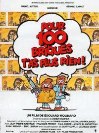 Jaquette du film Pour 100 briques t'as plus rien !