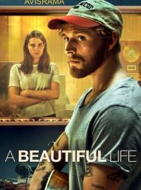 Jaquette du film A Beautiful Life