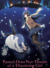 Jaquette du film Rascal Does Not Dream of a Dreaming Girl