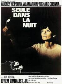 Jaquette du film Seule dans la nuit