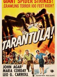 Jaquette du film Tarantula
