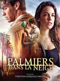 Jaquette du film Palmeras en la nieve