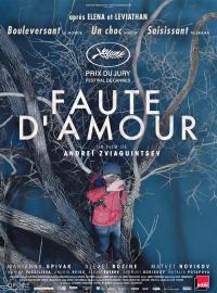 Jaquette du film Faute d'amour