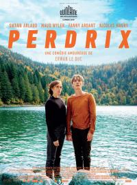 Jaquette du film Perdrix