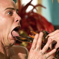 Jackass - le film