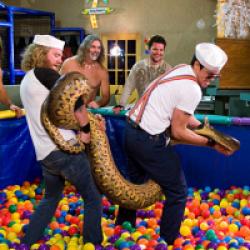 Jackass - le film