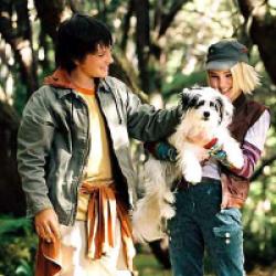 Le Secret de Terabithia