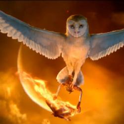 Le Royaume de Ga'Hoole - la légende des gardiens