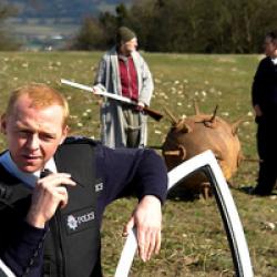 Hot Fuzz