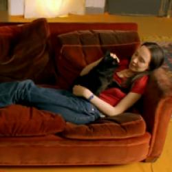 Chacun cherche son chat