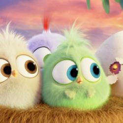 Angry Birds - Le Film