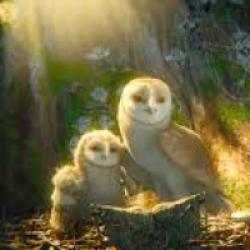 Le Royaume de Ga'Hoole - la légende des gardiens