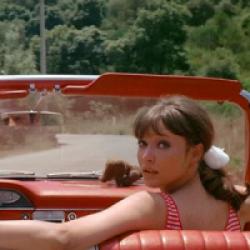 Pierrot le Fou