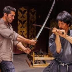 Ninja 2 : Shadow of a Tear