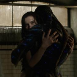 La Forme de l'eau - The Shape of Water