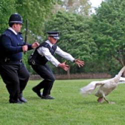 Hot Fuzz