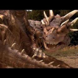 Coeur de dragon