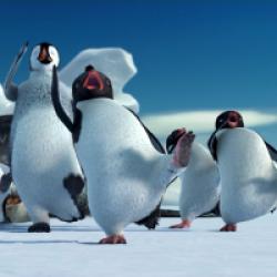 Happy Feet