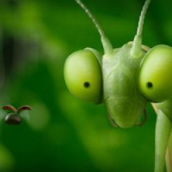 Minuscule 2 : Les Mandibules du bout du monde