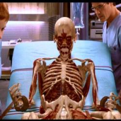 Hollow Man, l'homme sans ombre