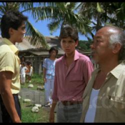Karaté Kid : Le Moment de vérité 2