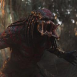 The Predator