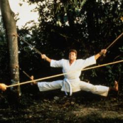 Bloodsport, tous les coups sont permis