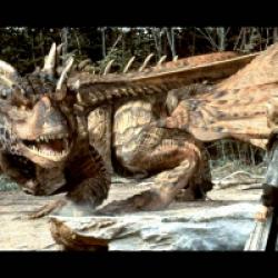 Coeur de dragon