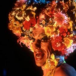 Priscilla, folle du désert