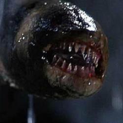 Leviathan