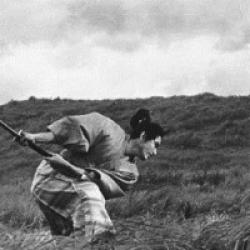 Harakiri