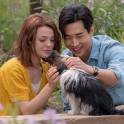 Mes autres vies de chien