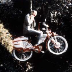 Pee Wee Big Adventure