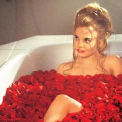 American Beauty