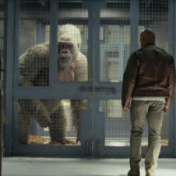 Rampage : Hors de contrôle