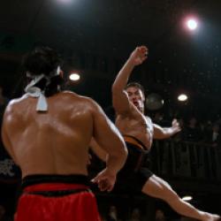 Bloodsport, tous les coups sont permis