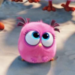 Angry Birds - Le Film