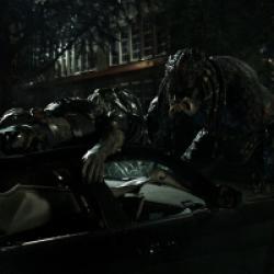 The Predator