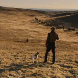 La Ballade de Buster Scruggs