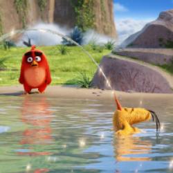 Angry Birds - Le Film