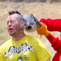 Jackass - le film