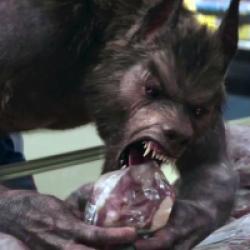 Chair de poule, le film